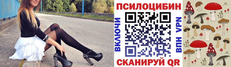 купить наркотики сайты  Монино  ссылка на мегу маркетплейс  Галлюциногенные грибы Psilocybine cubensis 